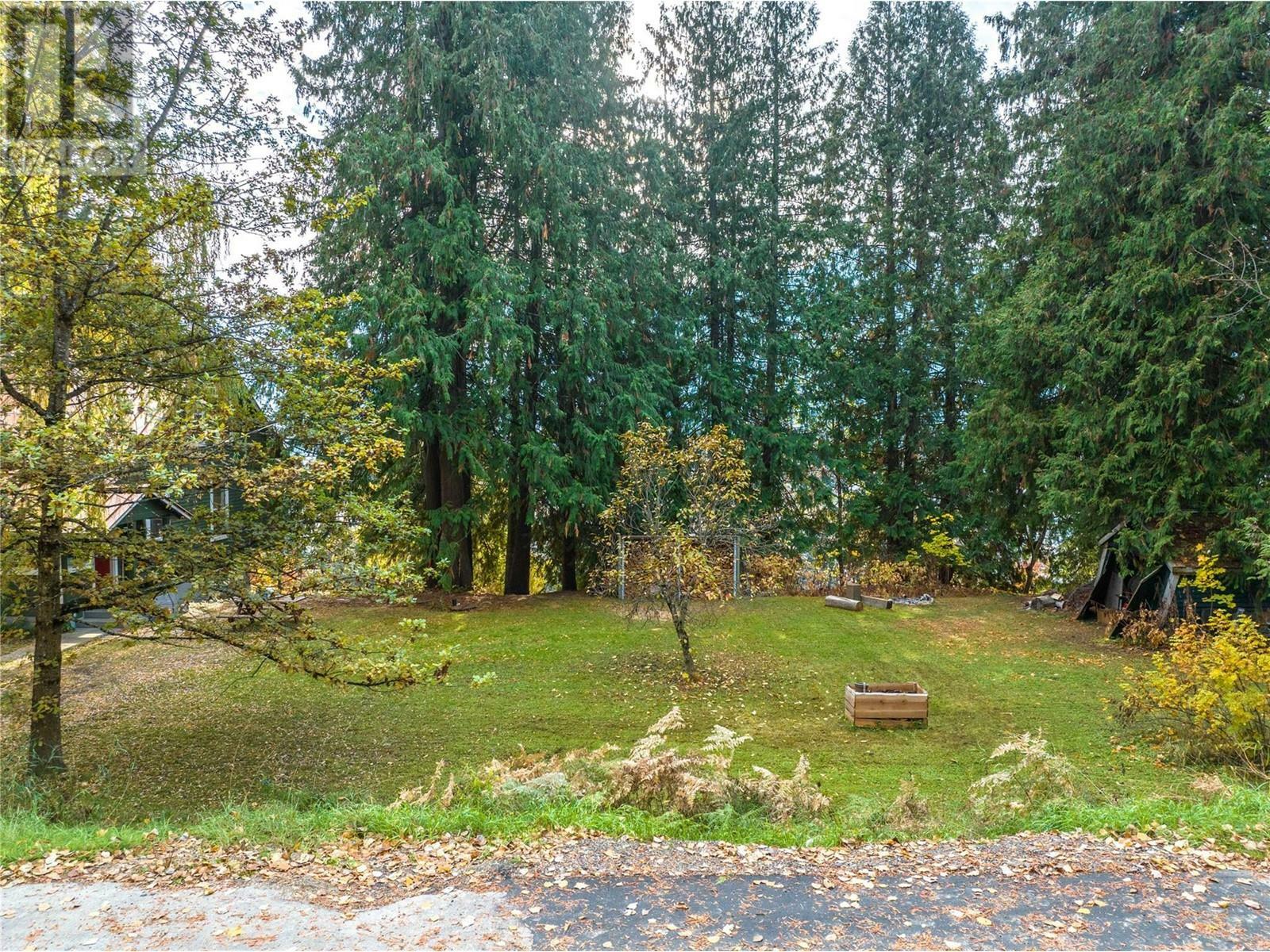 125 Maple Street  Revelstoke BC V0E 2S0 photo