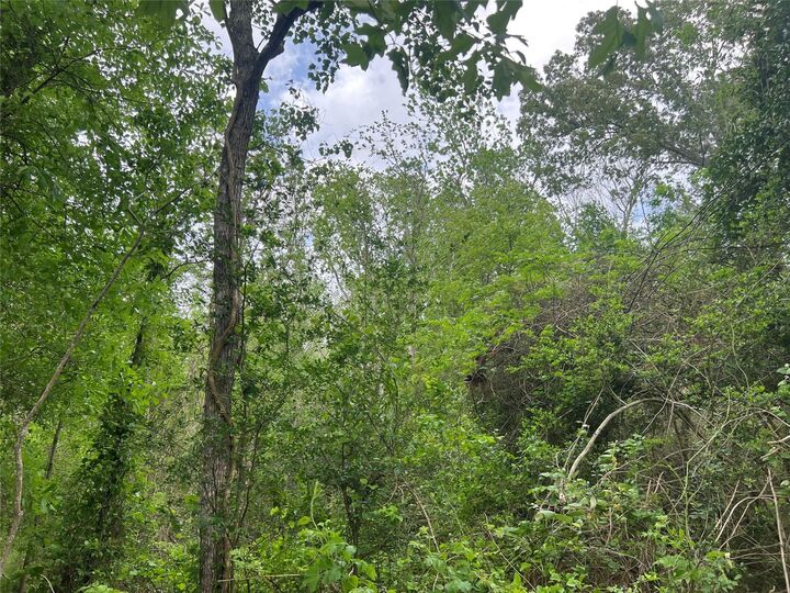 000 Cemetery Road  Ames TX 77575 photo