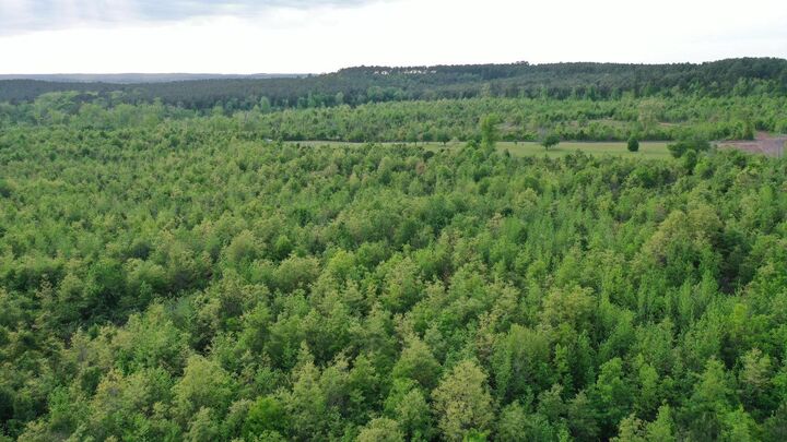 Property Photo:  695 County Road 1463  TX 75656 