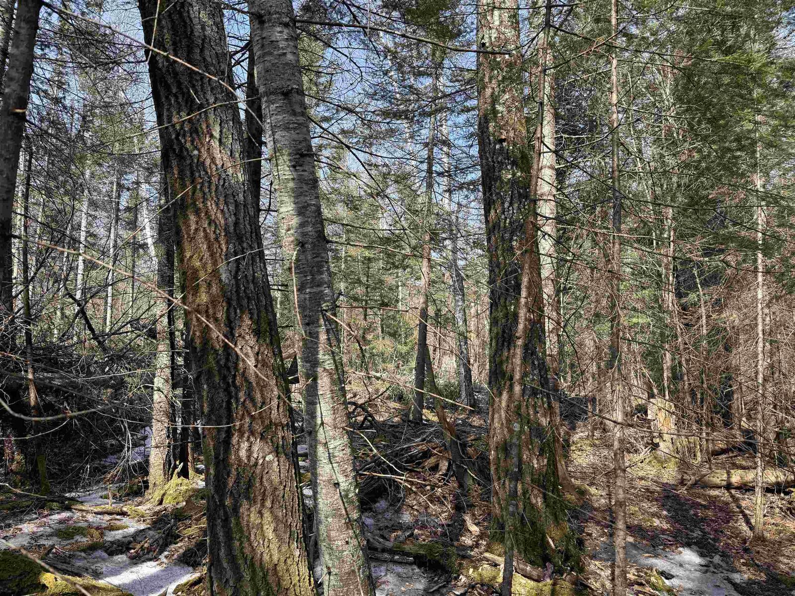 Property Photo: 1xx W 13th Ave MN 55604