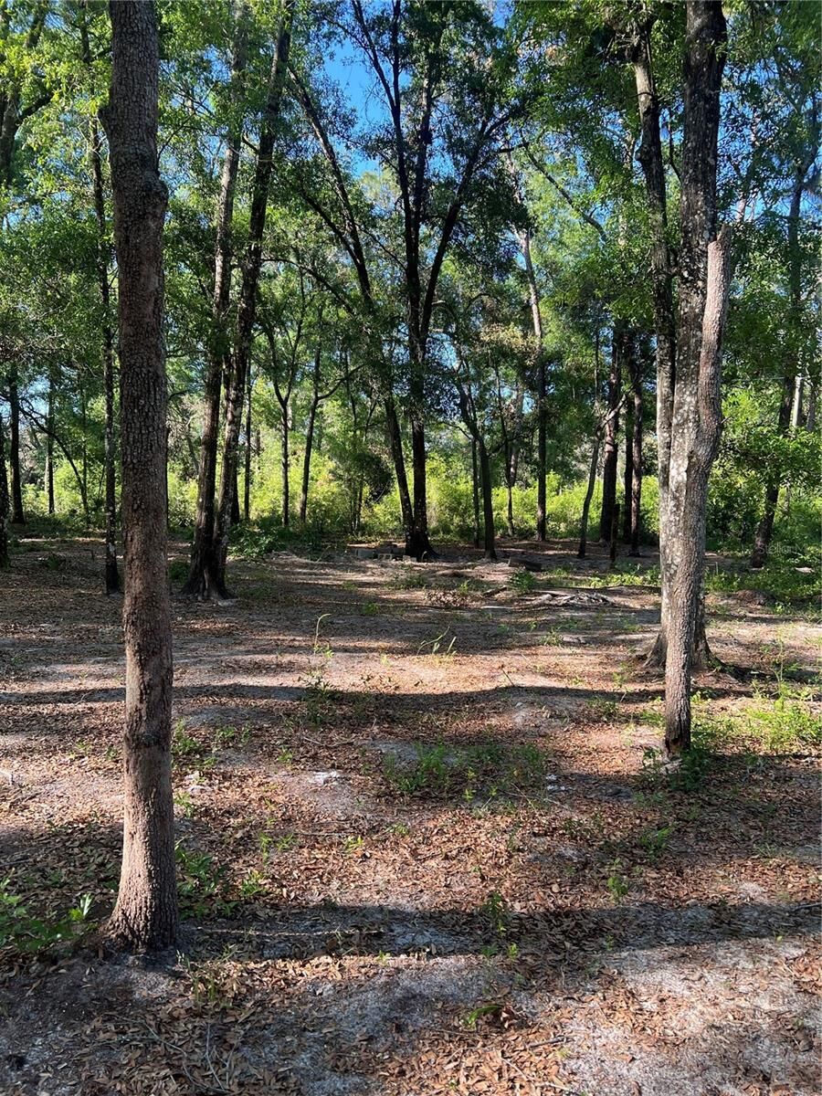 Property Photo:  SW 118th Lane  FL 33597