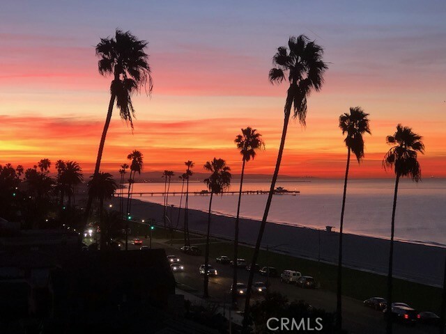 2601 E Ocean Boulevard 205  Long Beach CA 90803 photo