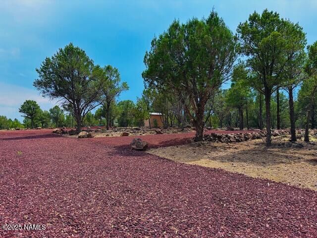 Property Photo:  126 E Greenbriar Drive  AZ 86046 