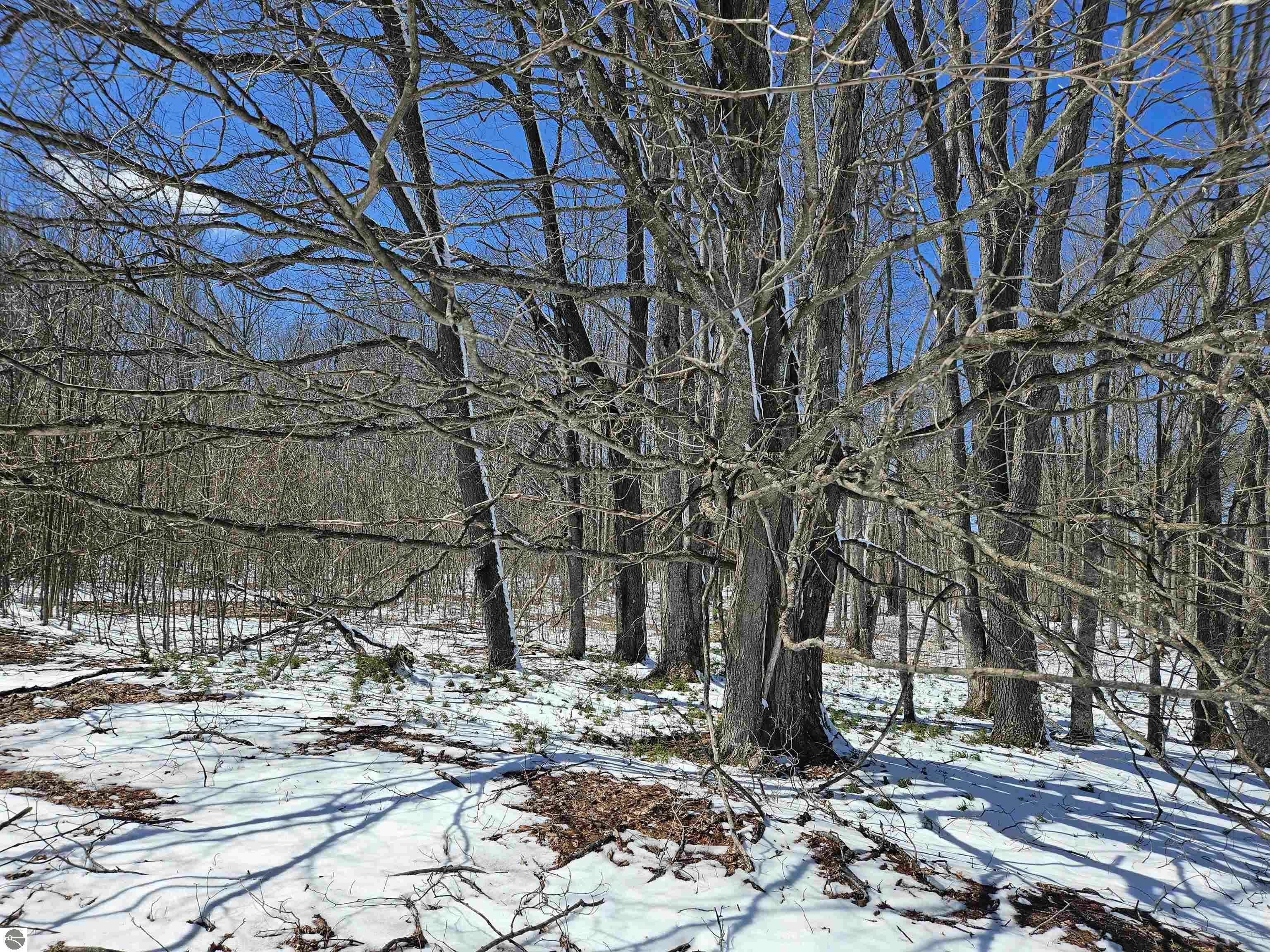 Property Photo: 0000 V/L "D" Grass Lake Road MI 49646