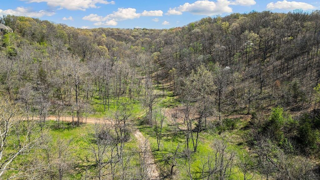 Property Photo: 000 Paradise Lane MO 64856