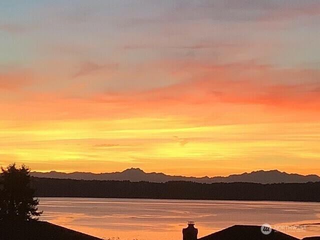 30822  36th Court SW  Federal Way WA 98023 photo
