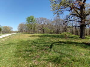 Property Photo:  000 Paradise Lane  MO 64856 