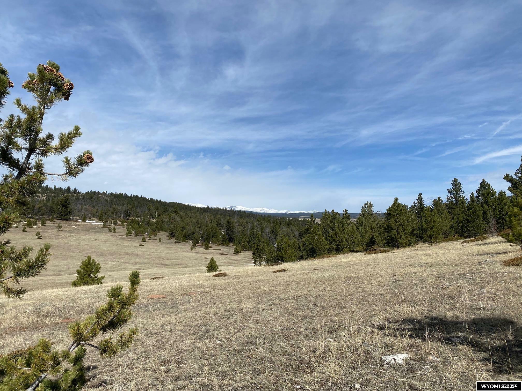 Property Photo: 22 High Meadow Road WY 82834