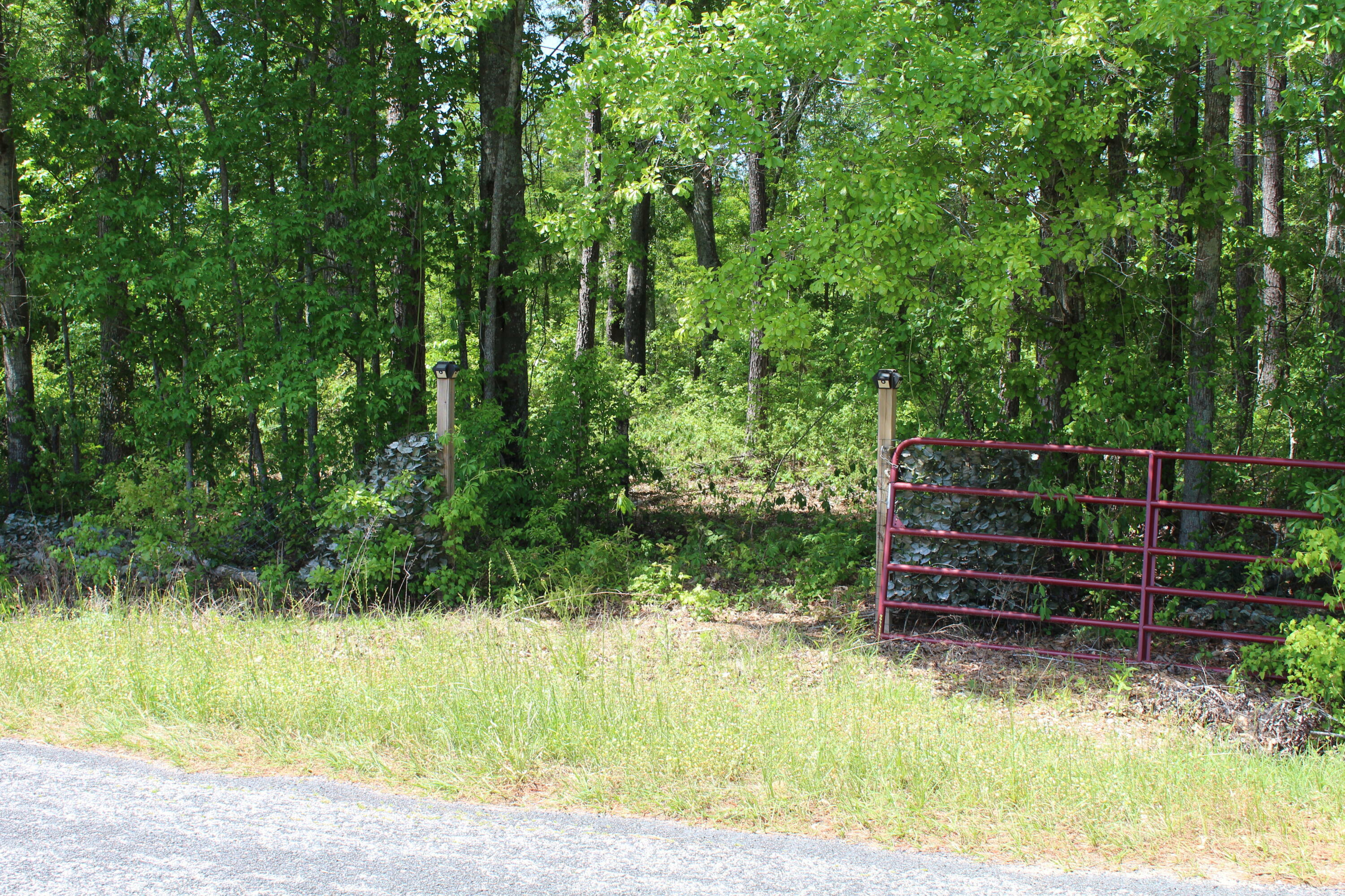 Property Photo: 2411 Drain Road SC 29481