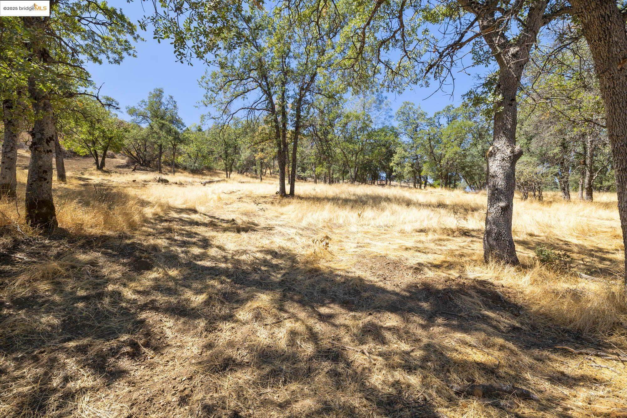 16692 Crestridge Ave  Sonora CA 95370 photo