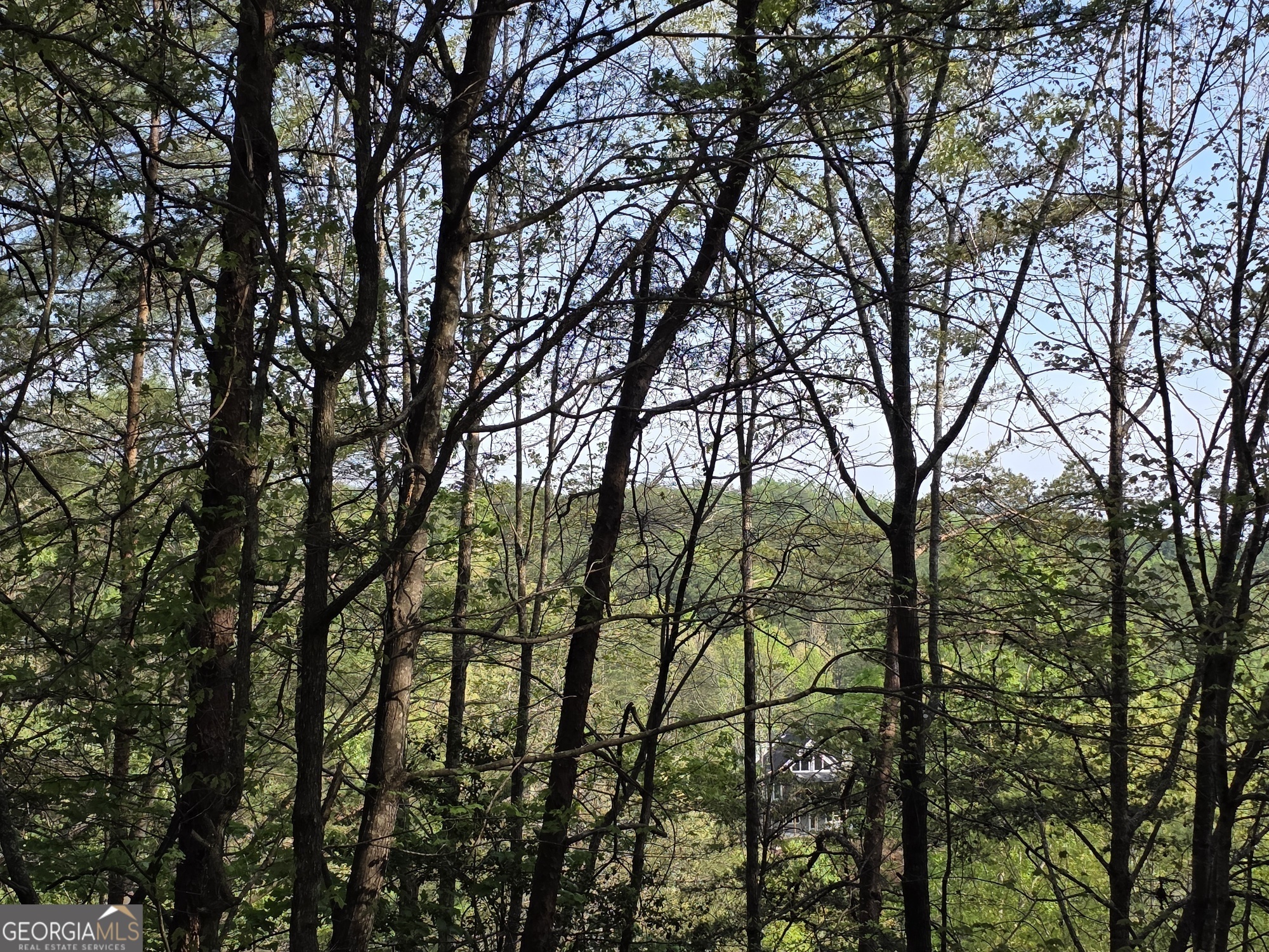 Property Photo: 0 Rosen Strasse Lot GA 30545
