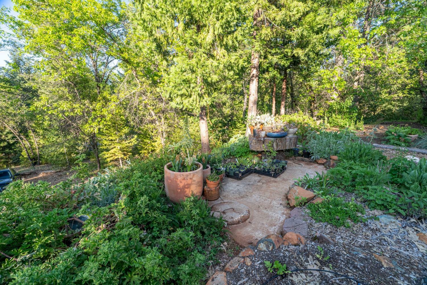 Property Photo: 13122 Bradford Ave CA 95945