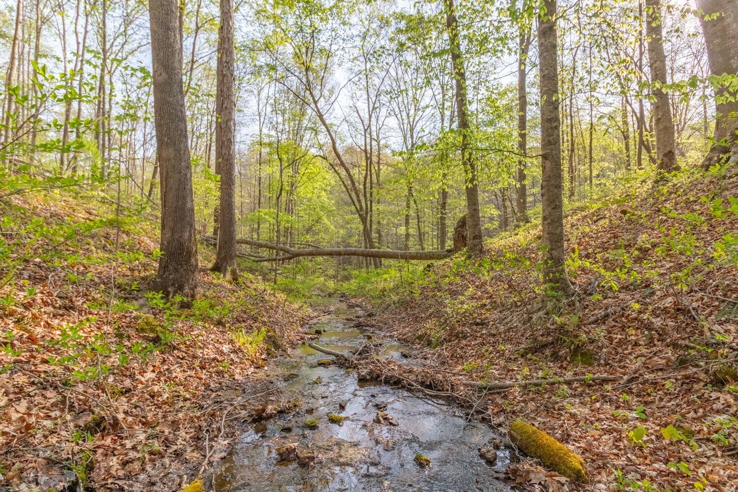 Property Photo: 5556 Boy Scout Rd TN 37064