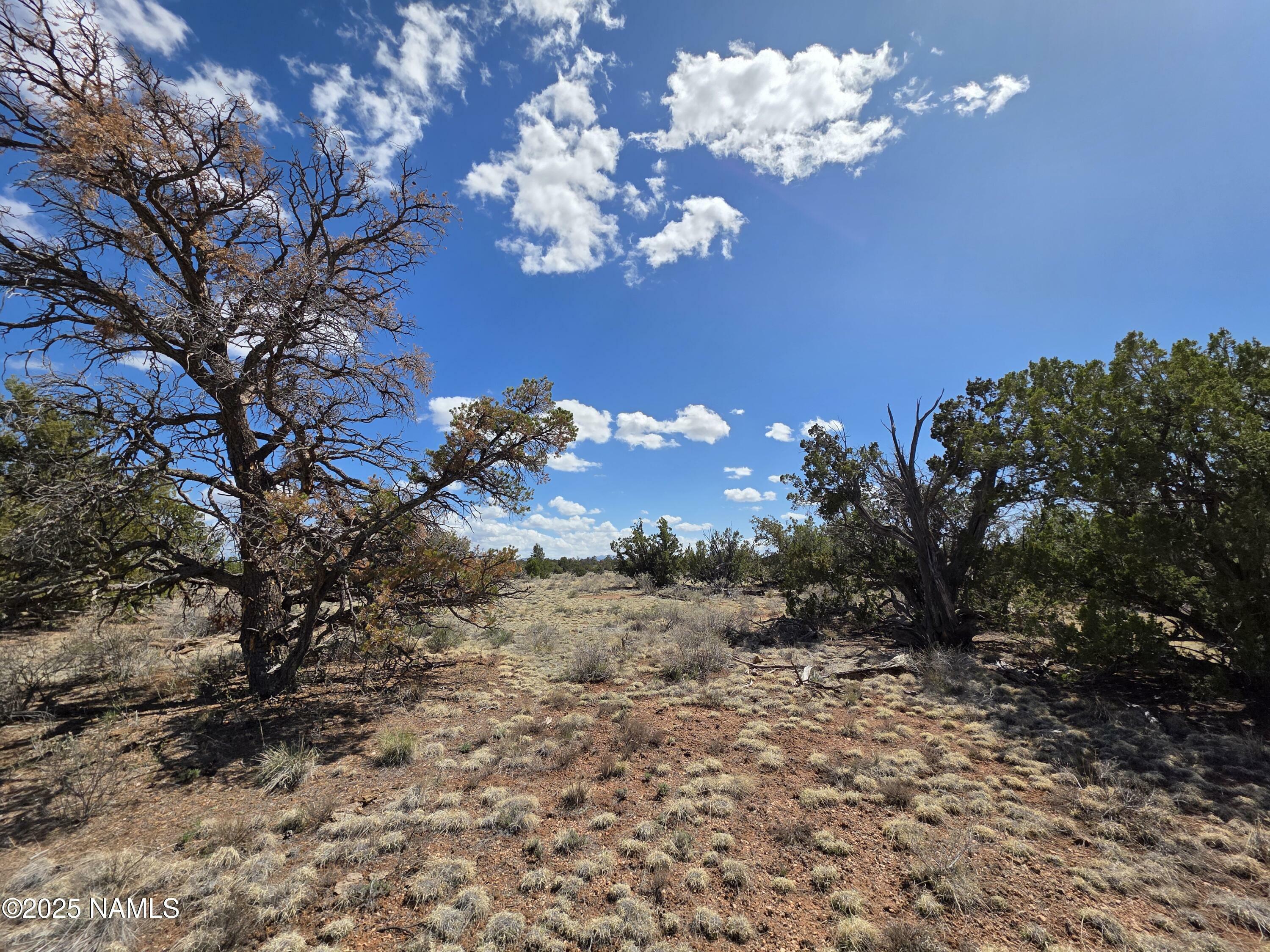 Property Photo:  564 N Wyandotte Road  AZ 86046 