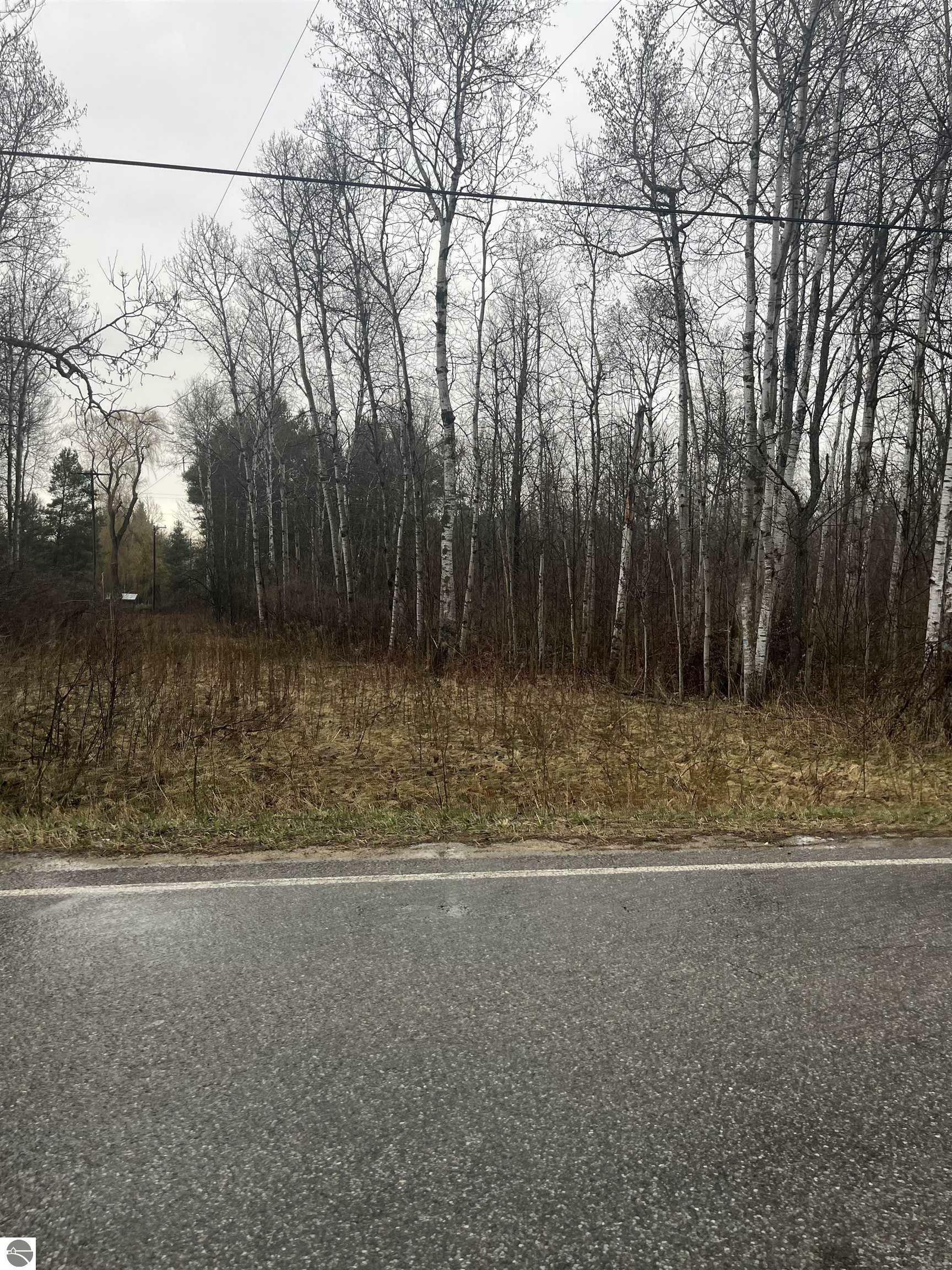 0 N Michigan Avenue  Manton MI 49663 photo