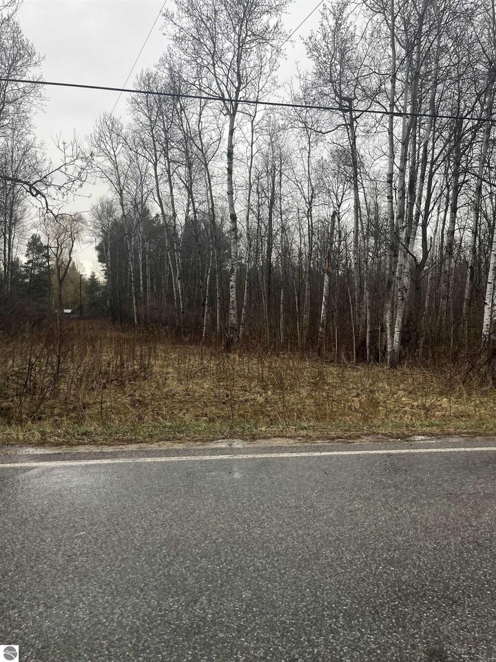 0 N Michigan Avenue  Manton MI 49663 photo