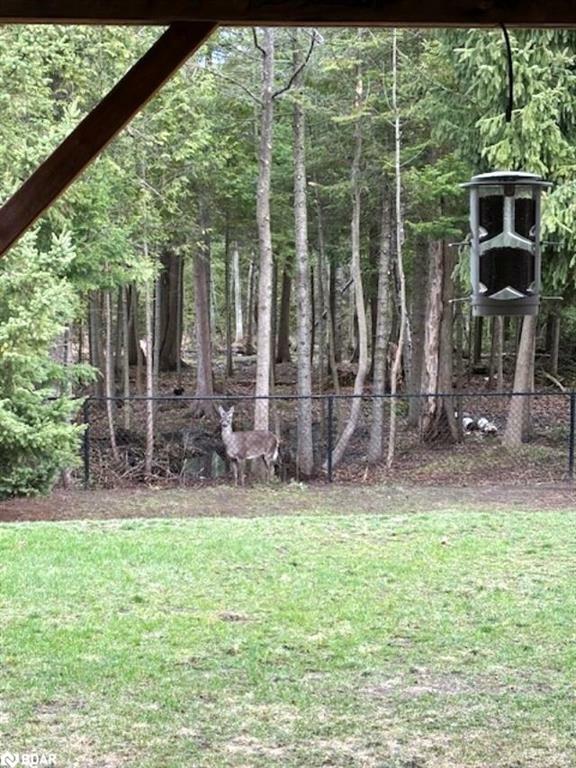 Photo de la propriété: 21 Red Pine Crescent ON L9Z 3B3