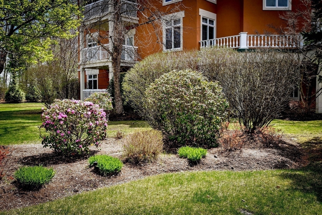 Property Photo: 20 Northwood Dr 203 MA 01776