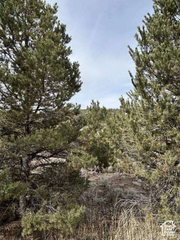 Property Photo:  Pinecrest  UT 84629 