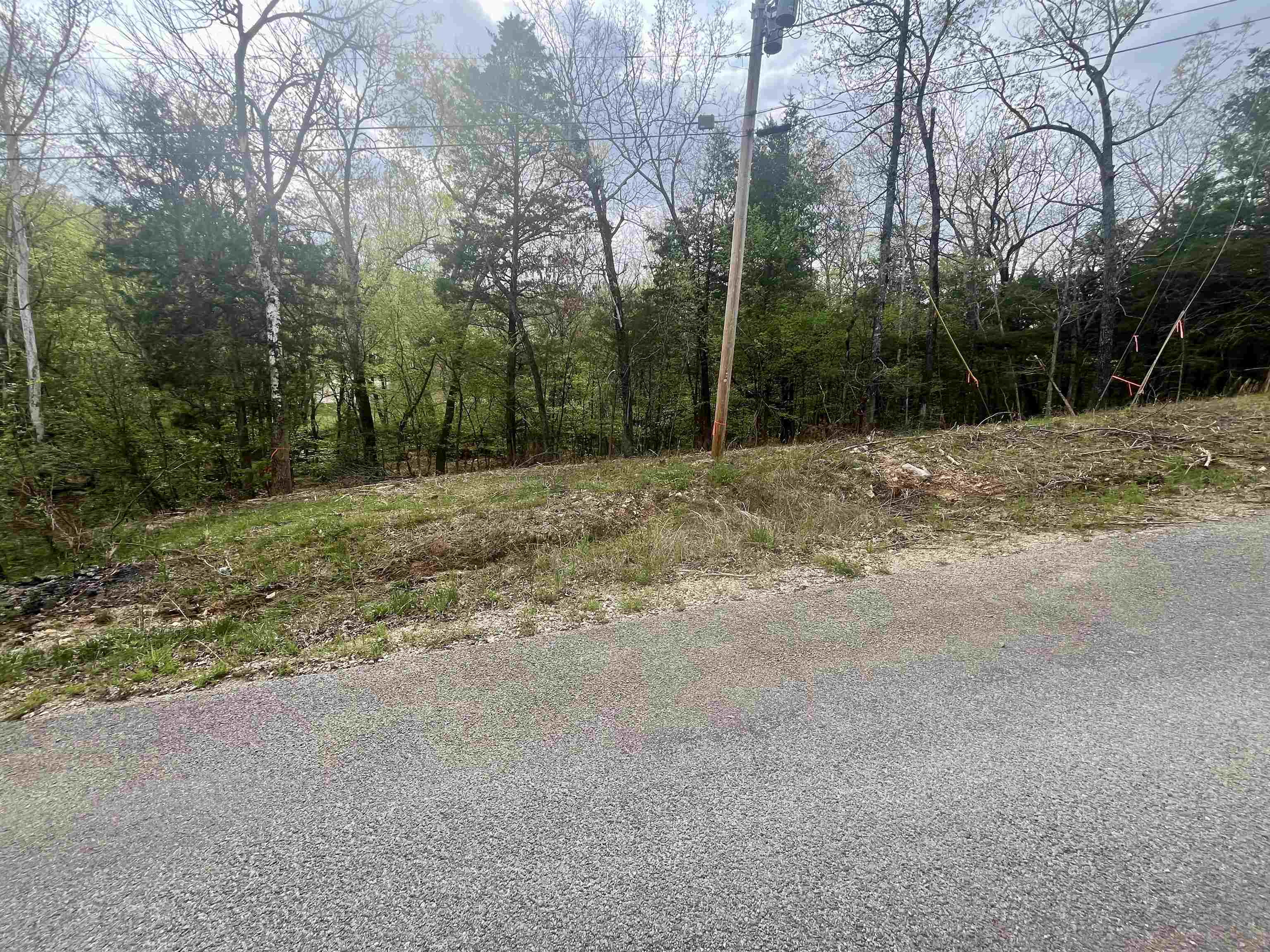 Property Photo: Tbd Rainbow Drive AR 72542
