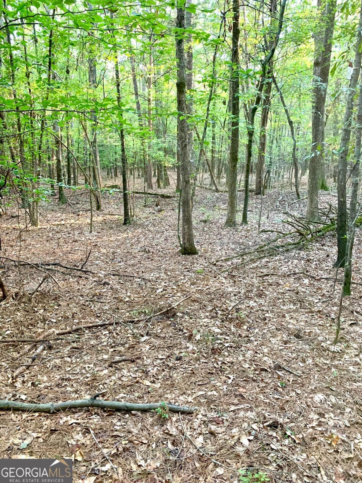 Property Photo: 0 Archer Grove School Road Tract C GA 30607
