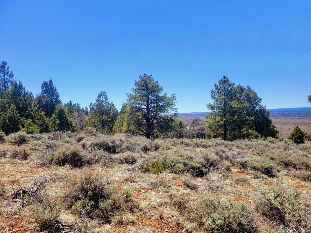 Property Photo:  Lot 5 Valley View Dr  UT 84762