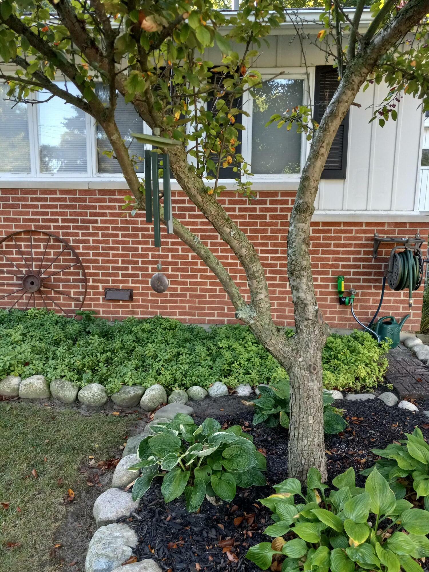 Property Photo: 109 Circle Drive MI 49010