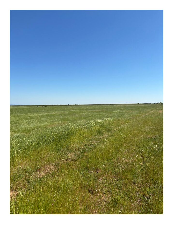 0 Manor Lane  Red Bluff CA 96080 photo