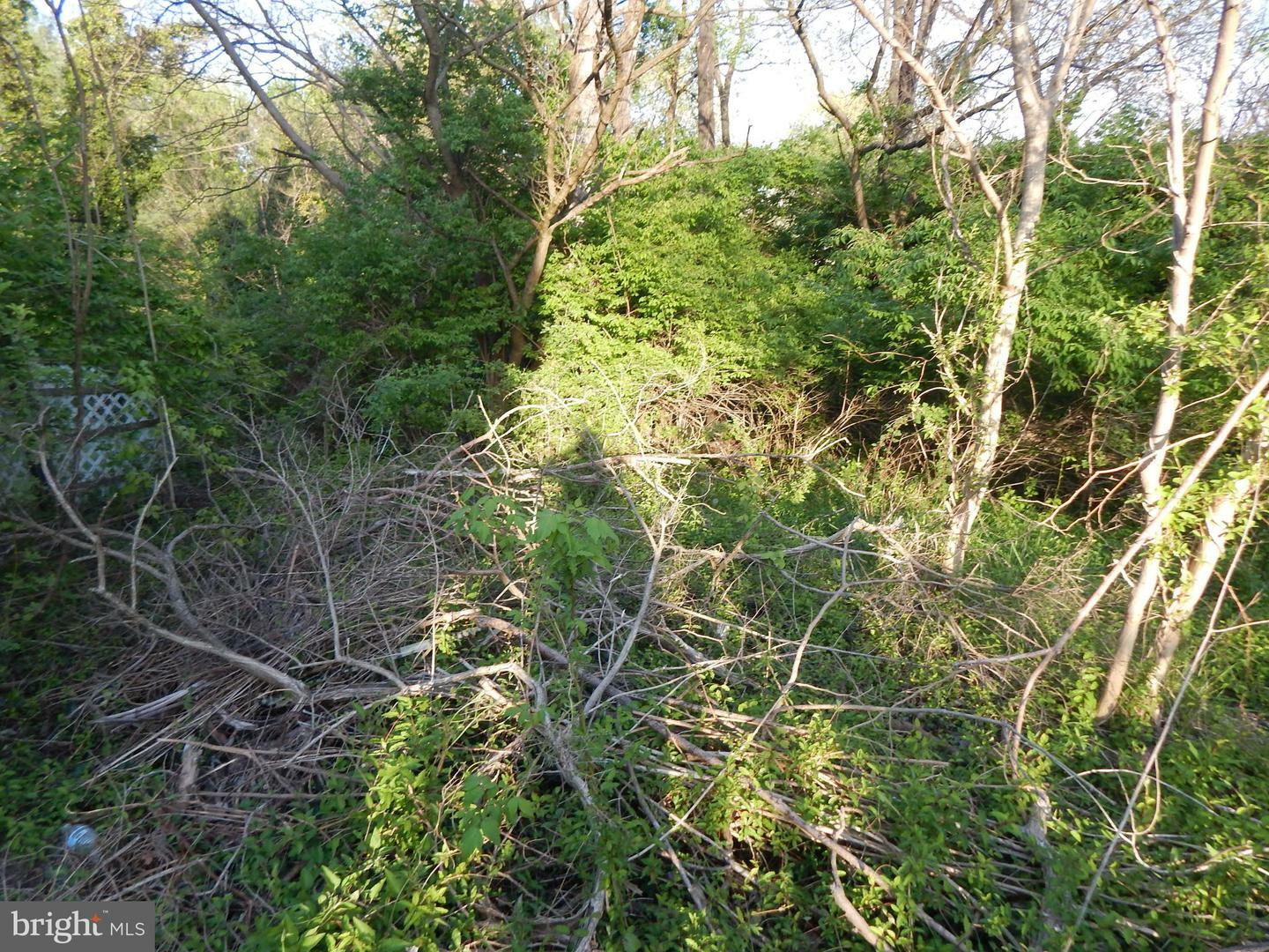 Property Photo: Lot 93 Siebert Street WV 25404