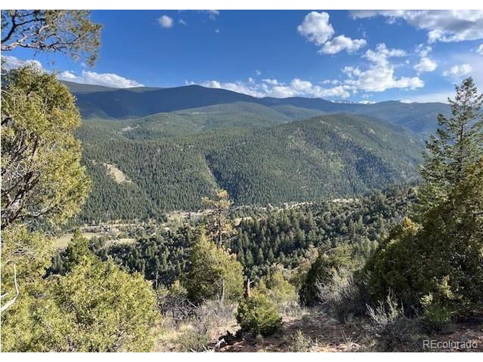 Property Photo:  1961 Fools Gold Rd  CO 80452 