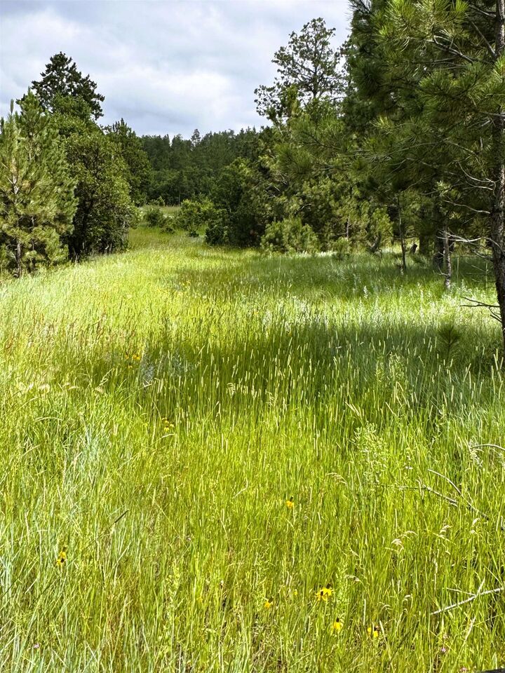 Property Photo:  E1 Soaring Eagle Road  WY 82720 