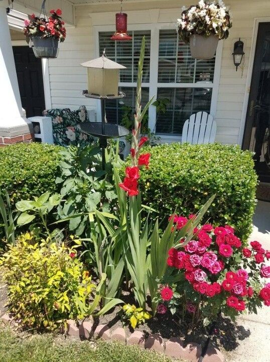 Property Photo: 313 Sam Houston Cir TN 37040