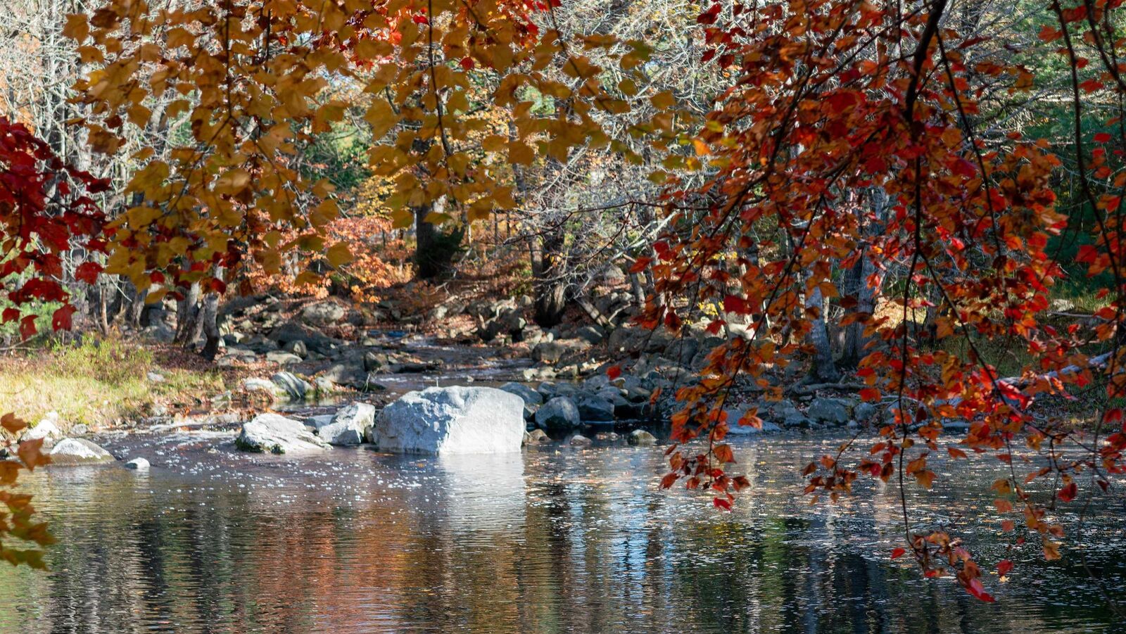 Property Photo:  Lot Ss-2 Maple Drive  NS B0T 1W0 