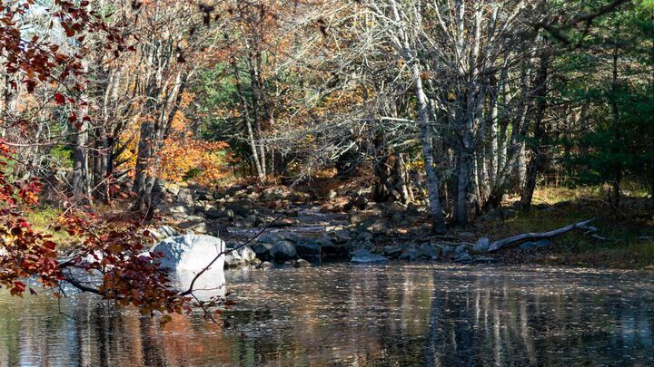 Property Photo:  Lot 3 Maple Drive  NS B0T 1W0 
