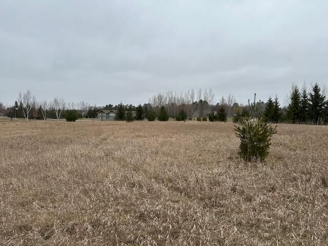 Tbd Tavistock Road NW  Bemidji MN 56601 photo