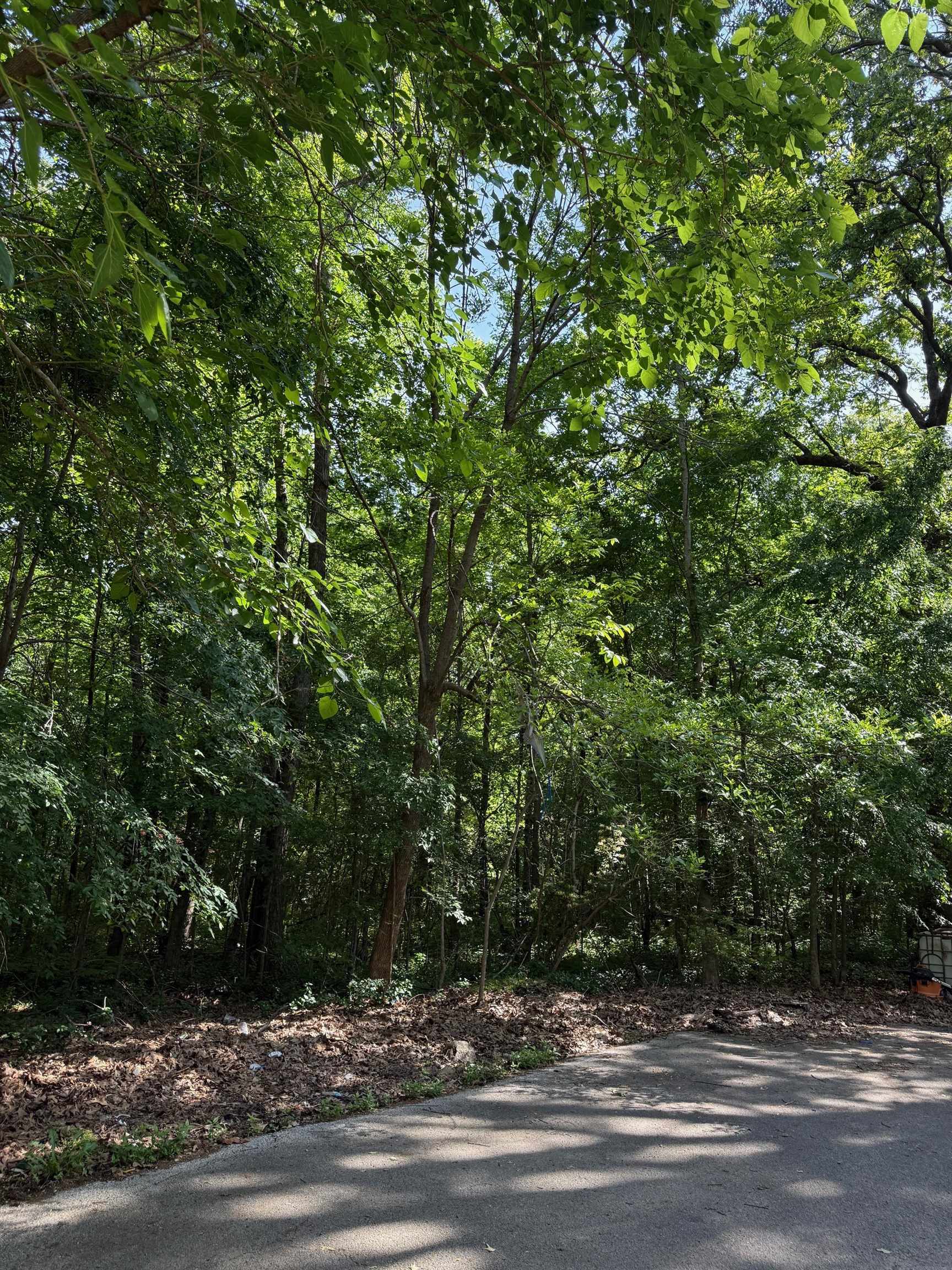 Property Photo: 13 Darlene AR 72401