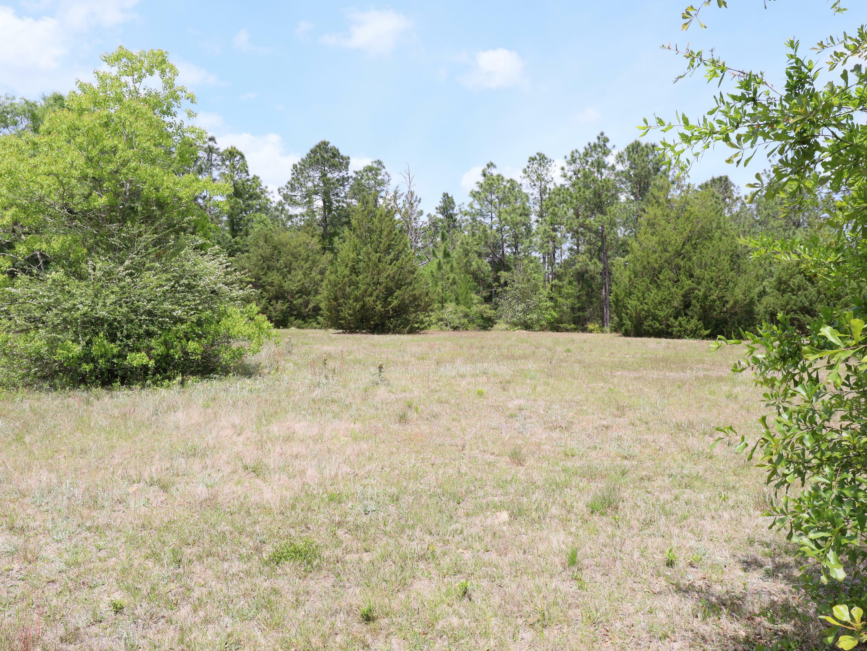 Property Photo: Lot 24 Ten Lake Drive FL 32433