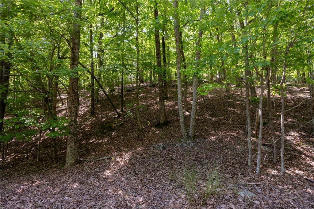 Property Photo: 110 Morning Walk Drive GA 30183