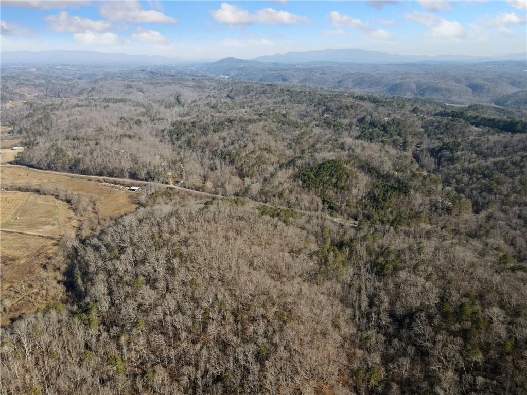 Property Photo: 38 Ac Whitestone Road GA 30175