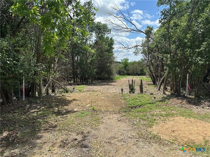 Property Photo:  125 Hillcrest Drive  TX 76528 