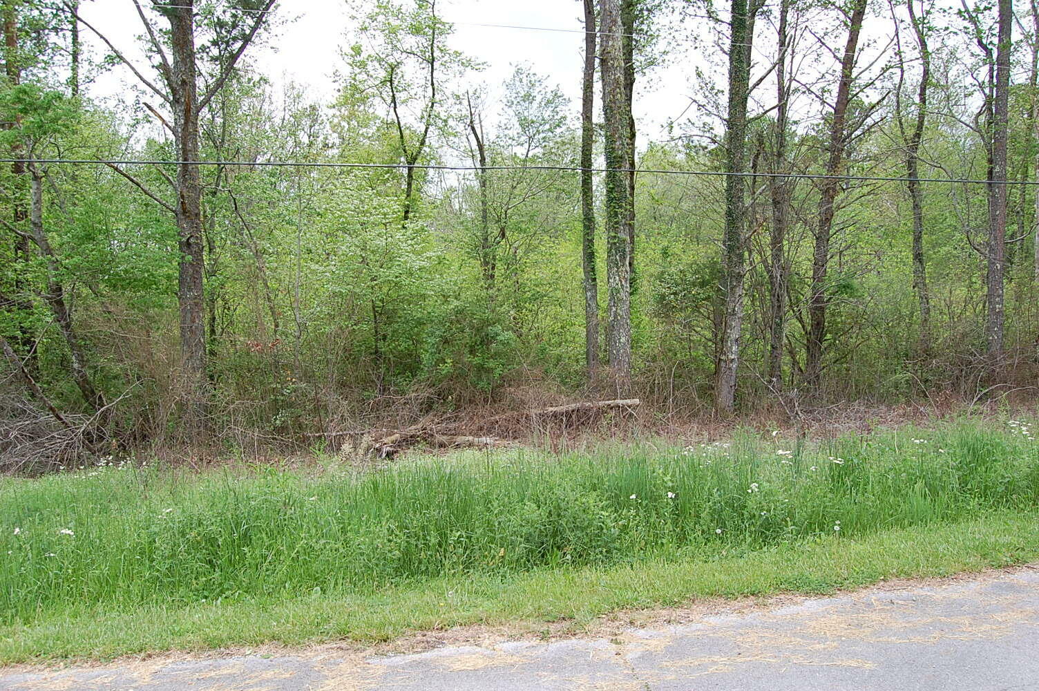Property Photo: 66 51st Avenue TN 37339