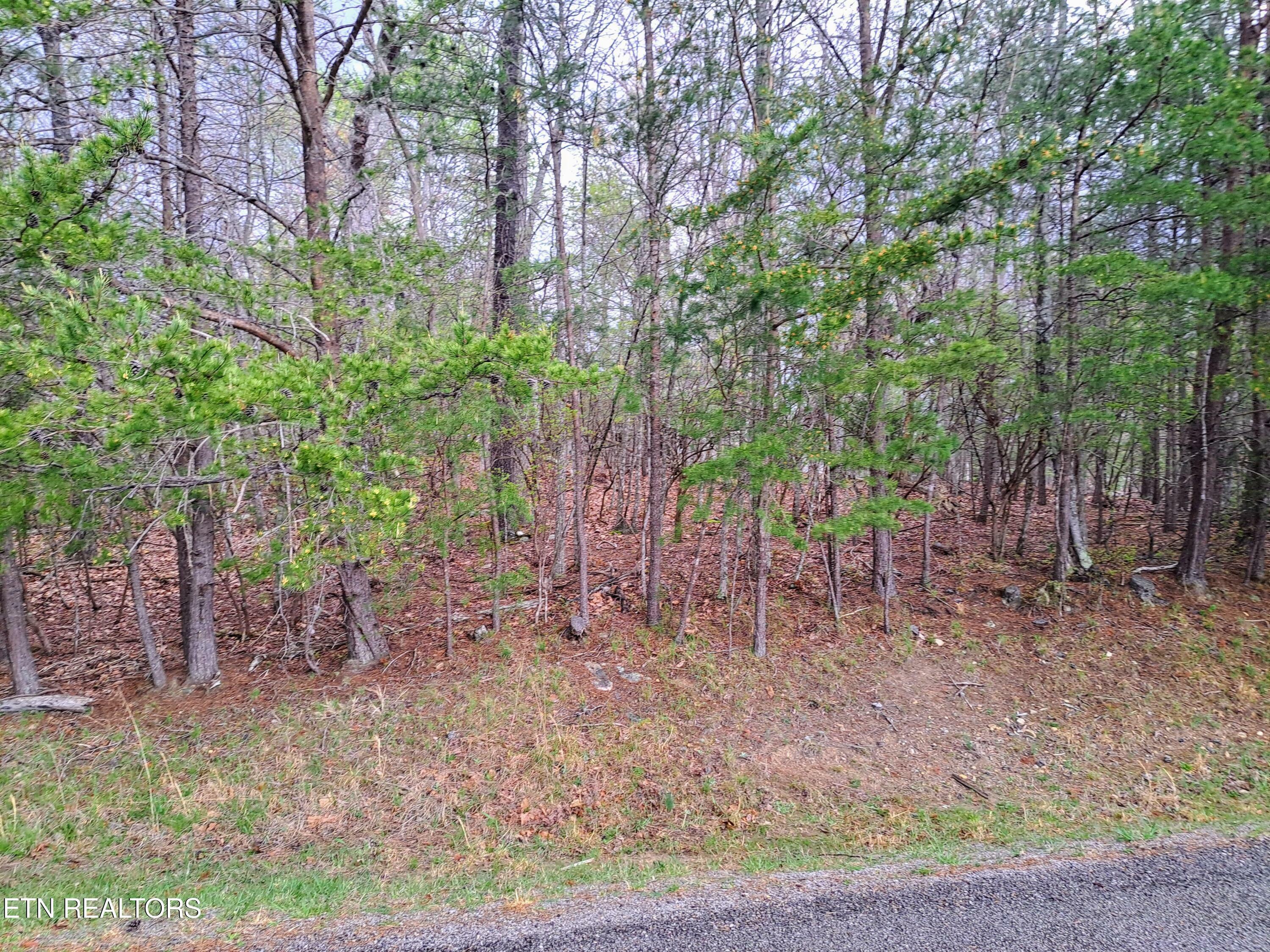 Property Photo: 109 Laurelton Lane TN 38558