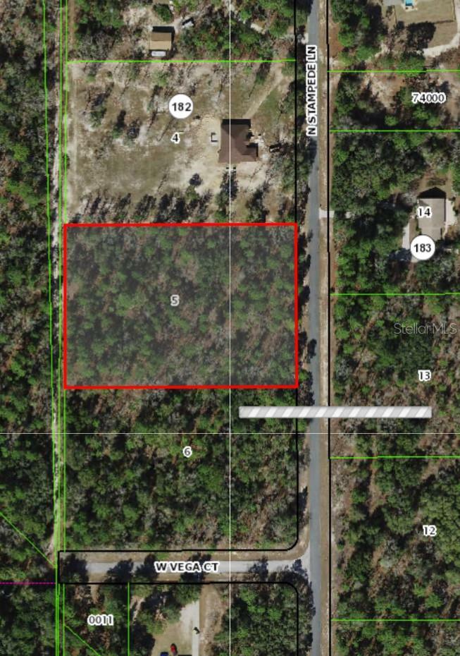 Property Photo: 2348 N Stampede Drive FL 34465