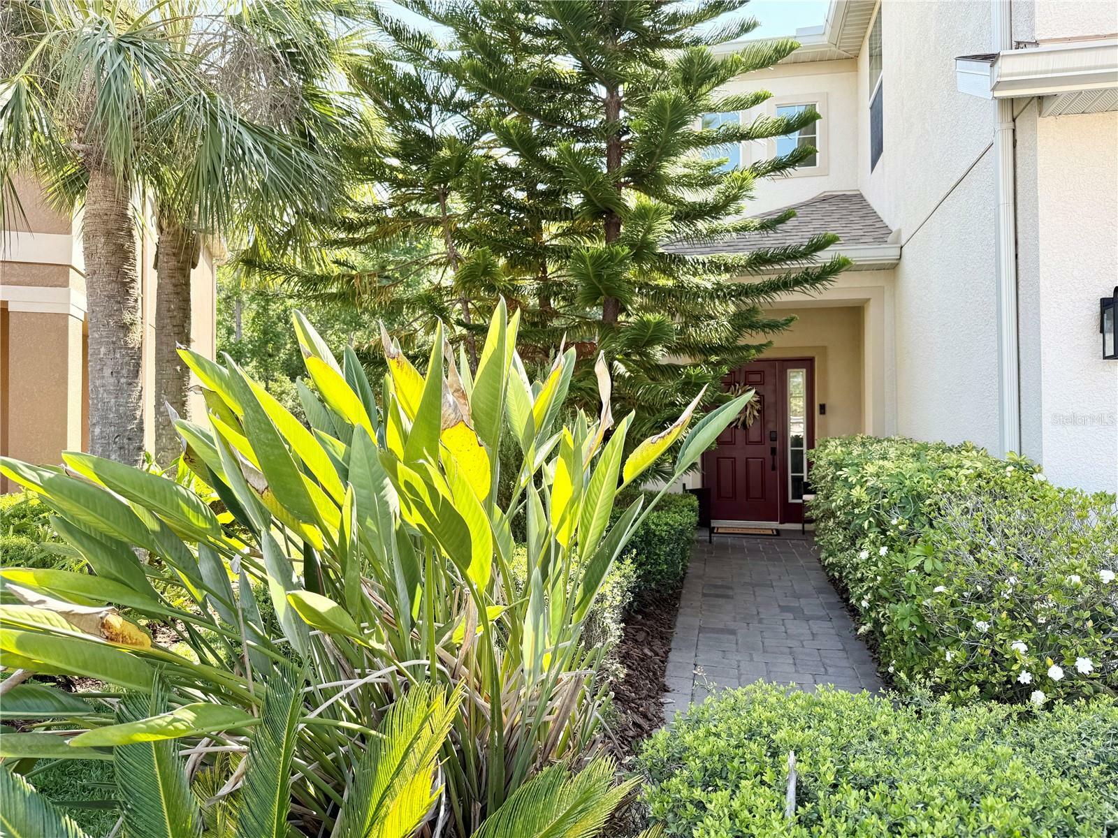 Property Photo: 7704 Tuscany Woods Dr FL 33647