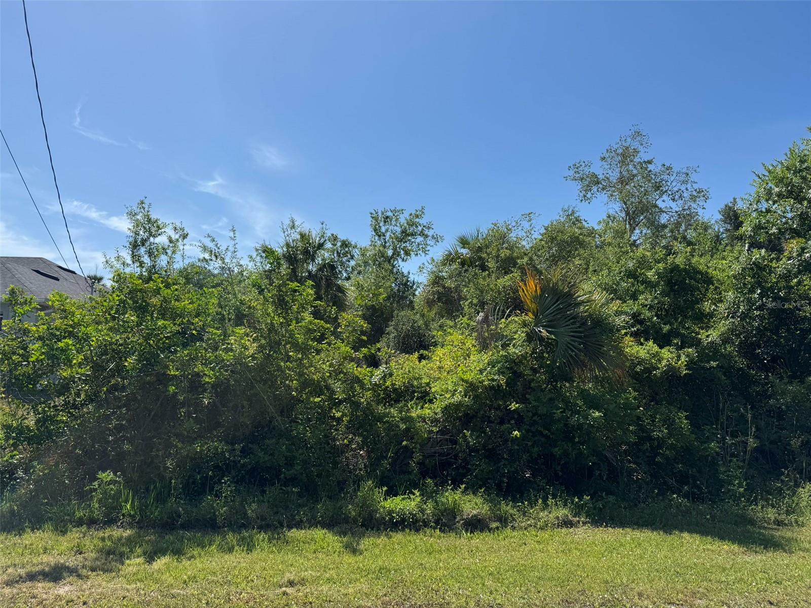 Property Photo:  Nackman Road  FL 34288 