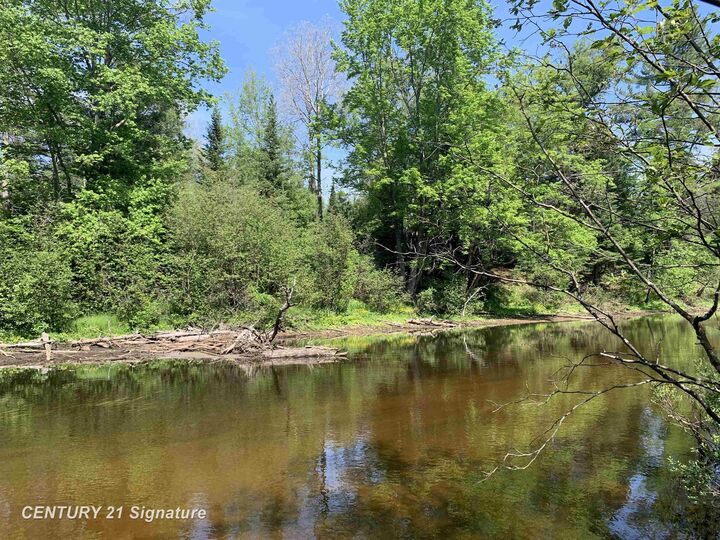 V/L Steckert Bridge Road  Roscommon MI 48653 photo