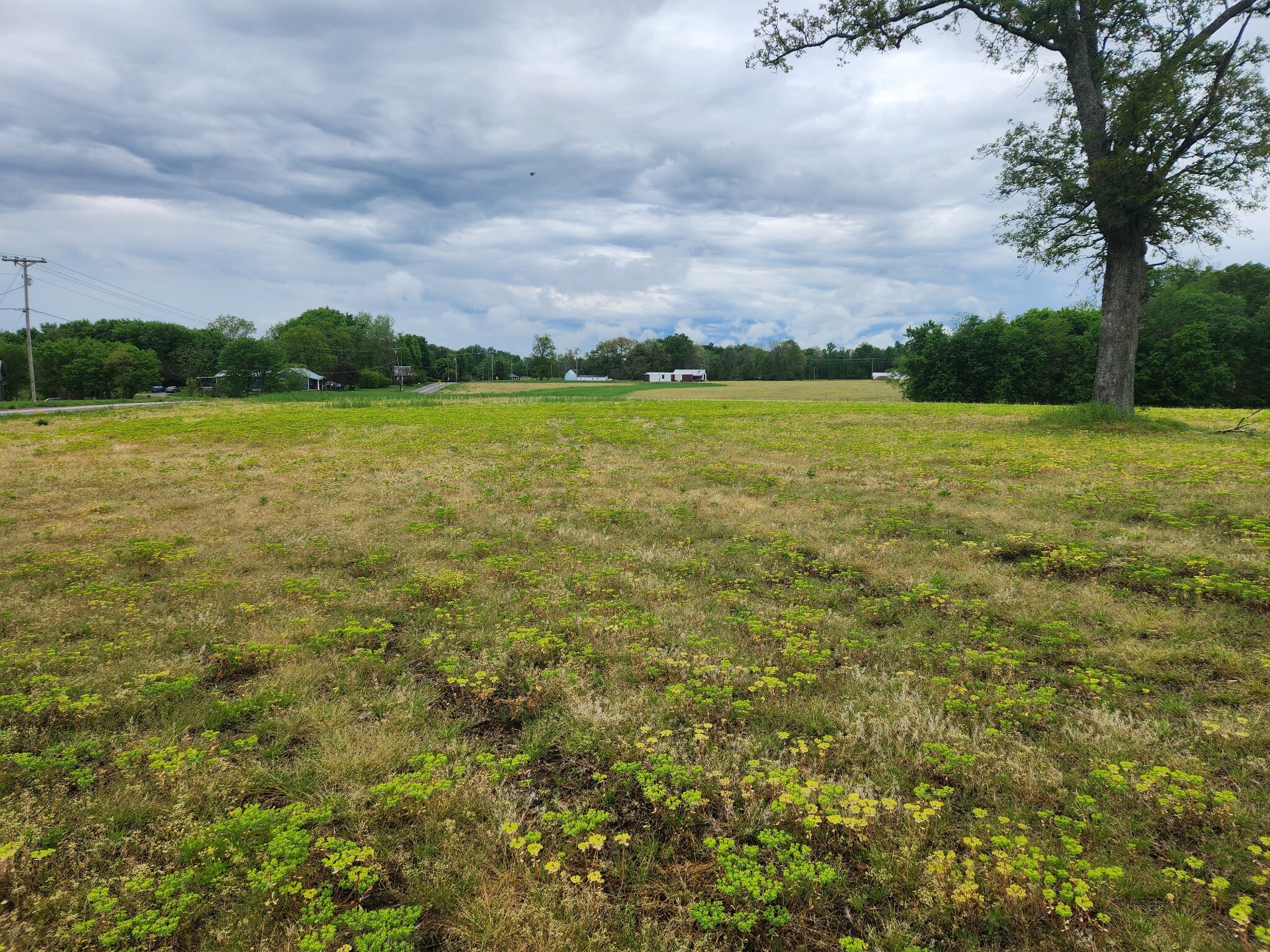 Property Photo: 3249 Fredonia Rd TN 37355
