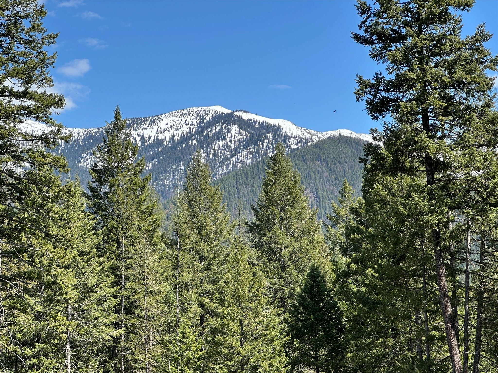 1226 Rolling Ridge Loop  Kalispell MT 59901 photo