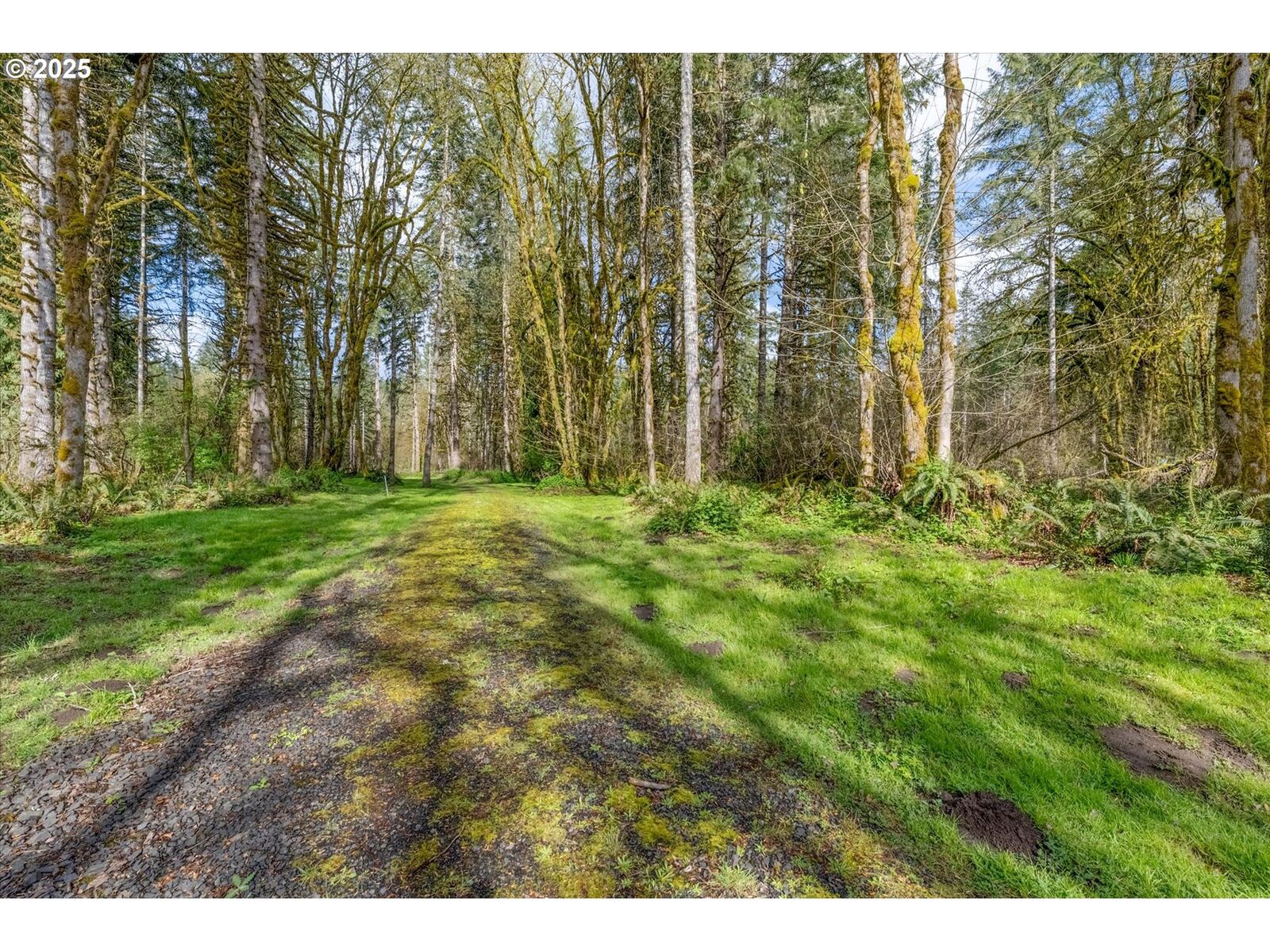 Property Photo:  171 Deer Park Ln  WA 98591 