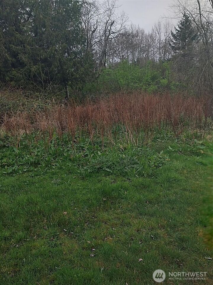 Property Photo:  0 Lot 7  Weasel Run  WA 98281 